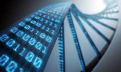 如何将以太坊直接挖到钱包：新手易懂的全流程