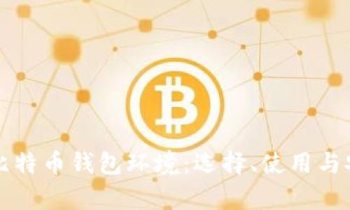 全面解析比特币钱包环境：选择、使用与安全性指南