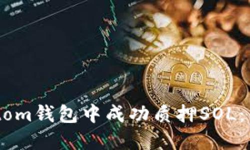 如何在Phantom钱包中成功质押SOL：新手完全指南