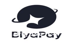 : 比特币钱包能否接受USDT？全面解析及操作指南