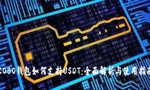 COBO钱包如何支持USDT：全面解析与使用指南