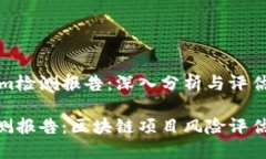 宗旨Tokenim检测报告：深入分析与评估/宗旨Token