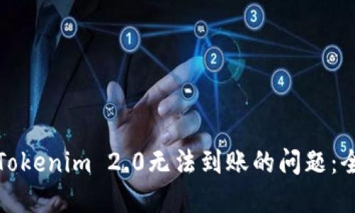 : 解决Tokenim 2.0无法到账的问题：全面指南