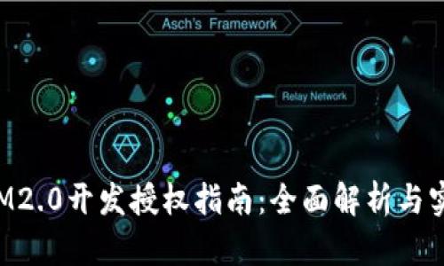 TokenIM2.0开发授权指南：全面解析与实用建议