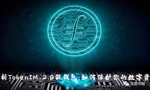 全面解析TokenIM 2.0假钱包：如何保护你的数字资产安全