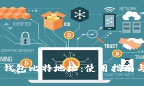 Tokenim 2.0 钱包比特地址：使用指南与常见问题解答