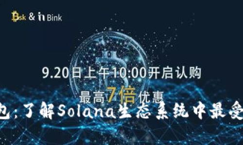 全面解析SOL钱包：了解Solana生态系统中最受欢迎的钱包类型