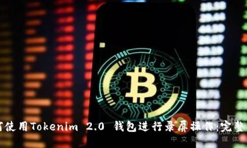 如何使用Tokenim 2.0 钱包进行录屏操作：完整指南