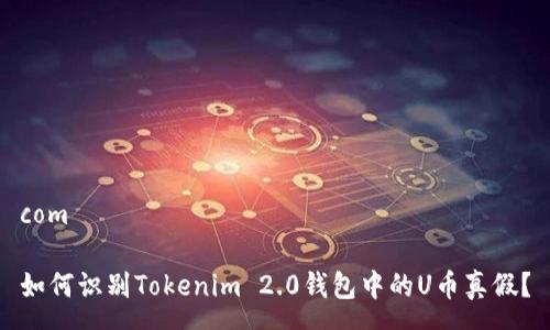 com
如何识别Tokenim 2.0钱包中的U币真假?