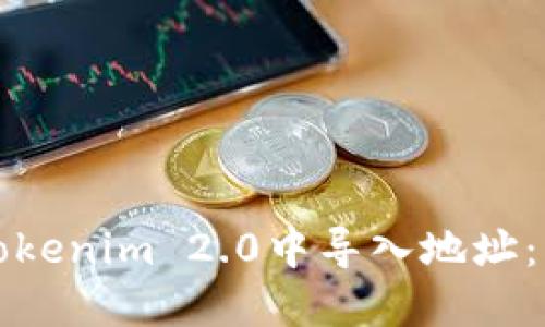 如何在Tokenim 2.0中导入地址：详细指南