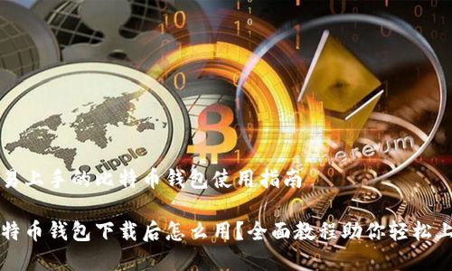 容易上手的比特币钱包使用指南

比特币钱包下载后怎么用？全面教程助你轻松上手