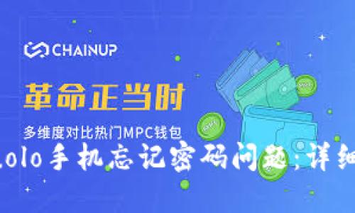 如何解决nuolo手机忘记密码问题：详细教程与解答