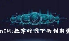 连云港TokenIM：数字时代下的创新资产管理平台