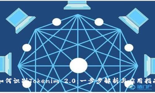 如何识别Tokenim 2.0：一步步解析与应用指南