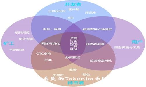 如何找回丢失的Tokenim币？完整指南