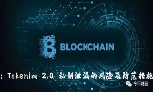 : Tokenim 2.0 私钥泄漏的风险及防范措施