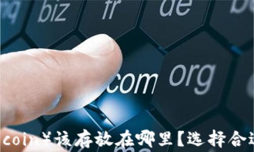 
狗狗币（Dogecoin）该存放在哪里？选择合适的钱包指南