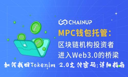 如何找回Tokenim 2.0支付密码：详细指南