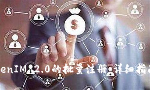如何实现TokenIM 2.0的批量注册：详细指南与最佳实践