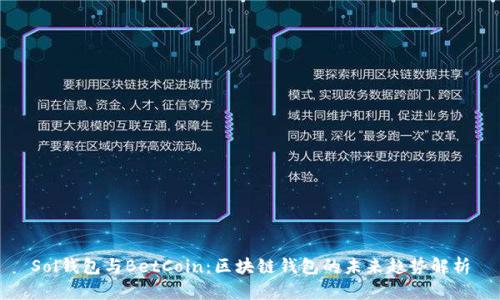 Sol钱包与BetCoin：区块链钱包的未来趋势解析