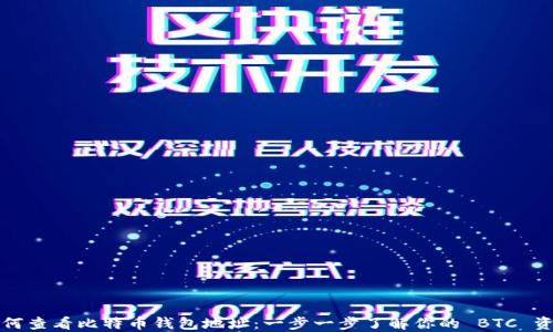 如何查看比特币钱包地址:一步一步了解你的 BTC 资产