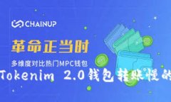 解决Tokenim 2.0钱包转账慢的