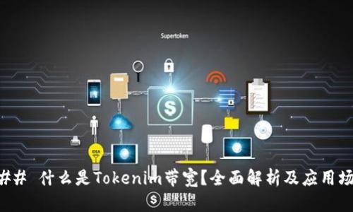 ### 什么是Tokenim带宽？全面解析及应用场景